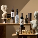 PACK GOURMET 608 VEGAMAR